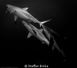 Food by Steffen Binke 